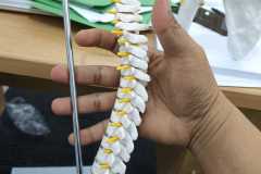 IMG-20240522-WA0022